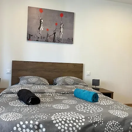 L Indemodable Renove Spacieux Et Lumineux Avec 2 * Sarrebourg