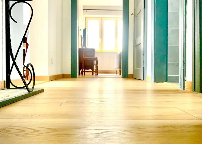 Appartement L Indemodable Renove Spacieux Et Lumineux Avec 2